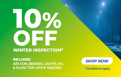 Winter Vehicle Inspection